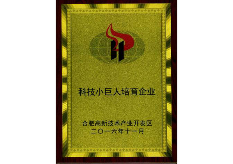 科技小巨人培育企业