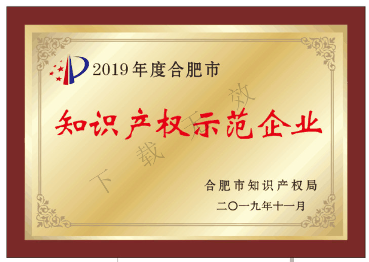 2019合肥知识产权示范企业