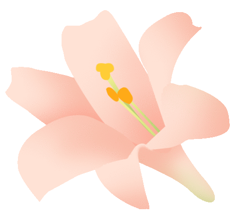 【动态】春日有约 遇见“莓”好—— 安徽智恒信女神节采摘活动